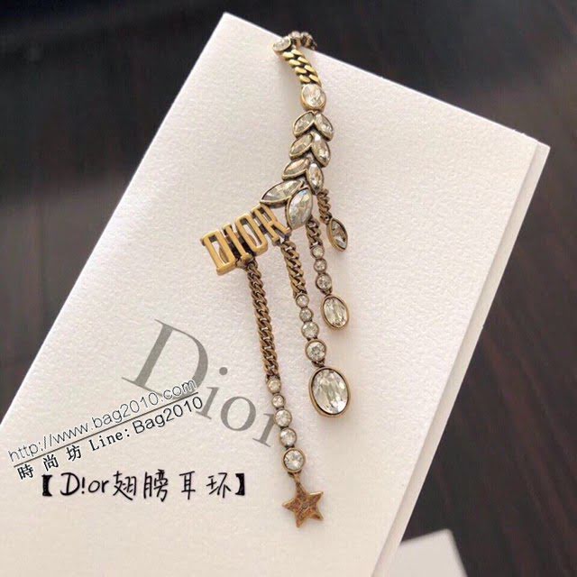 Dior新款飾品 迪奧大小馬眼Silver Shadow耳環 Dior翅膀流蘇吊墜耳釘  zglv2160
